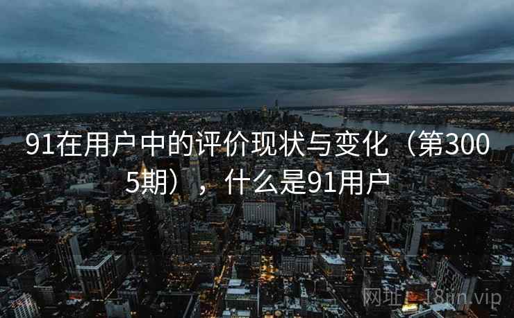 91在用户中的评价现状与变化（第3005期），什么是91用户