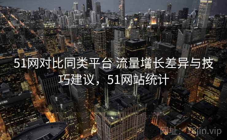 51网对比同类平台 流量增长差异与技巧建议，51网站统计