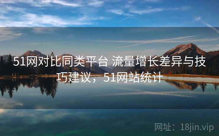 51网对比同类平台 流量增长差异与技巧建议，51网站统计