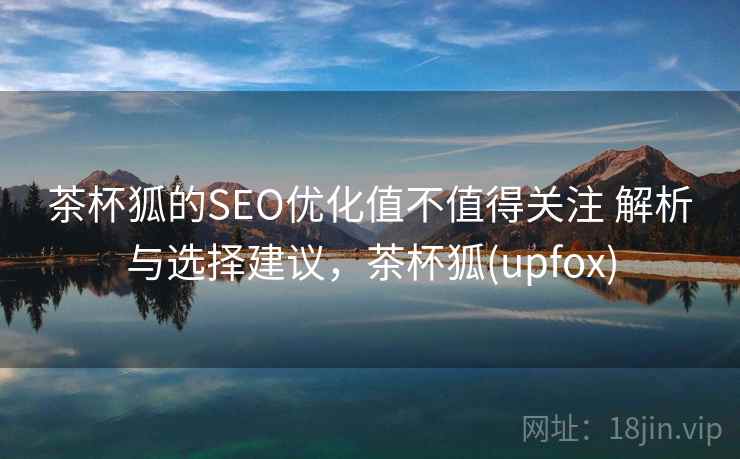 茶杯狐的SEO优化值不值得关注 解析与选择建议，茶杯狐(upfox)