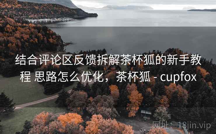 结合评论区反馈拆解茶杯狐的新手教程 思路怎么优化，茶杯狐 - cupfox
