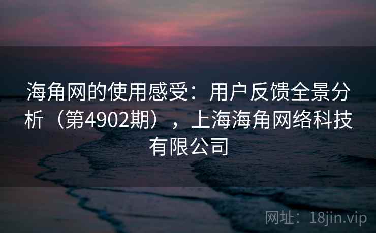 海角网的使用感受：用户反馈全景分析（第4902期），上海海角网络科技有限公司