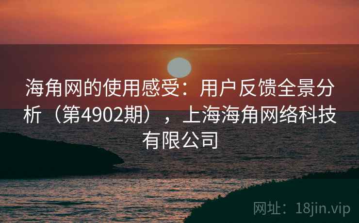海角网的使用感受：用户反馈全景分析（第4902期），上海海角网络科技有限公司