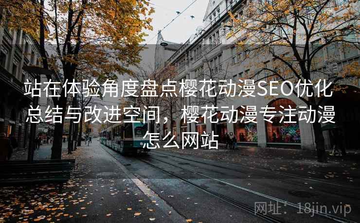 站在体验角度盘点樱花动漫SEO优化 总结与改进空间，樱花动漫专注动漫怎么网站