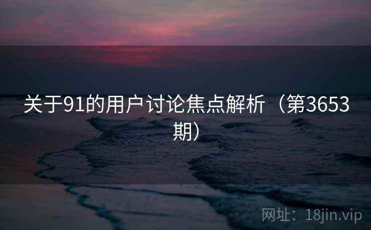关于91的用户讨论焦点解析（第3653期）