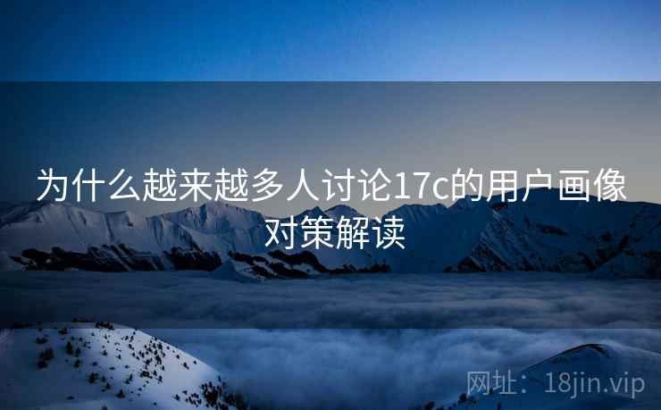 为什么越来越多人讨论17c的用户画像 对策解读
