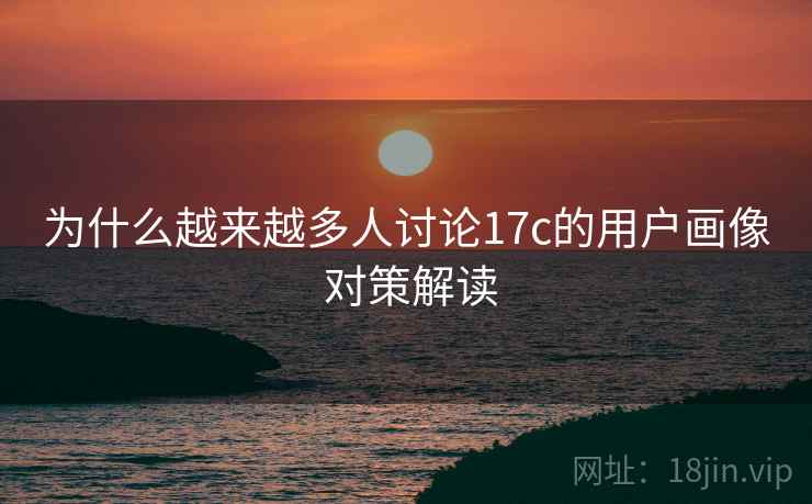 为什么越来越多人讨论17c的用户画像 对策解读