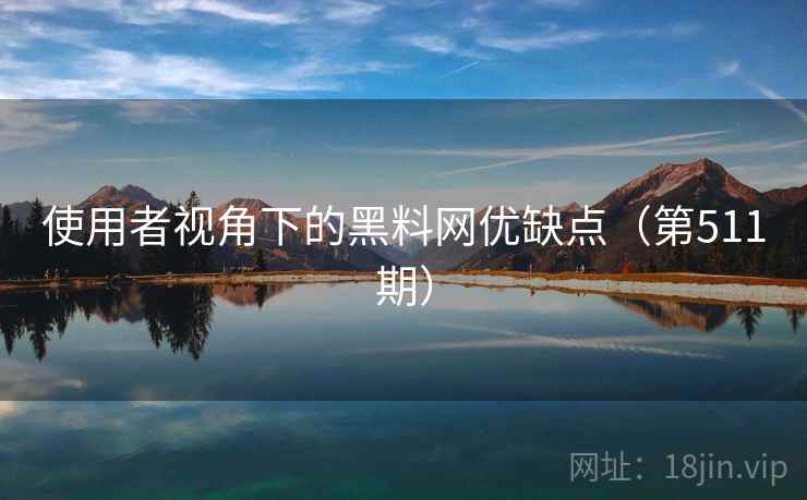 使用者视角下的黑料网优缺点（第511期）